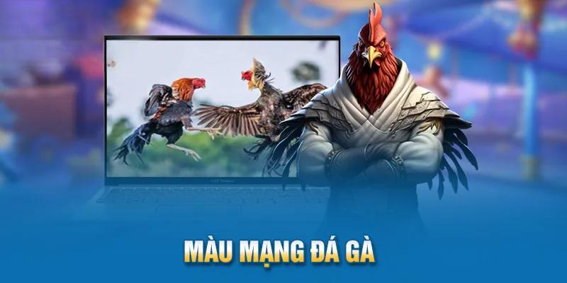 Cách Xem Màu Mạng Đá Gà Chuẩn Xác Dành Cho Tân Thủ