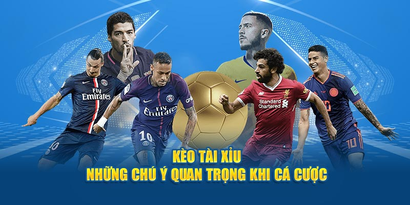 Cách Đọc Kèo Tài Xỉu Chuẩn Xác Và Dễ Hiểu Cho Tân Binh