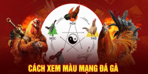 Đá Gà 32win - Sân Chơi Uy Tín Dành Cho Các Tín Đồ Yêu Thích Gà Chọi