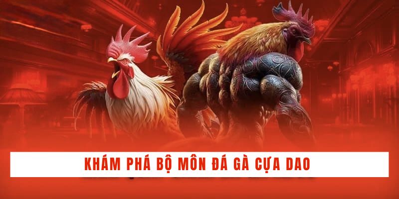 Đá Gà Cựa Dao - Tìm Hiểu Bí Quyết Chọn Gà Chiến Bách Thắng
