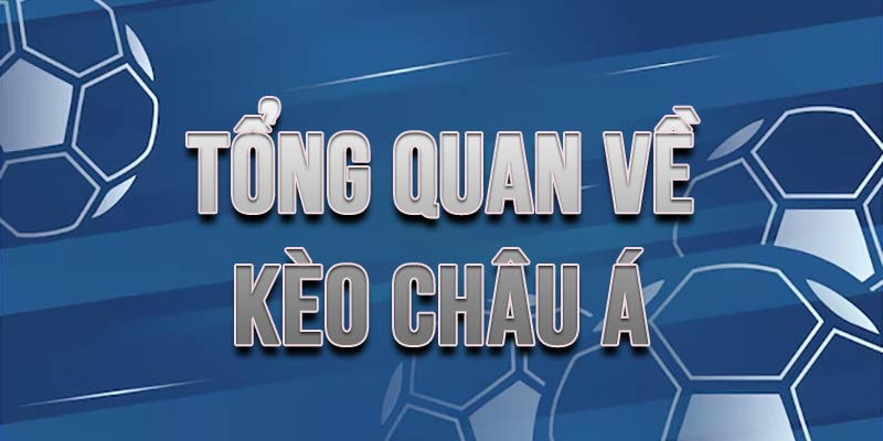 Kinh Nghiệm Đặt Kèo Châu Á Hiệu Quả Từ Cao Thủ Cá Cược