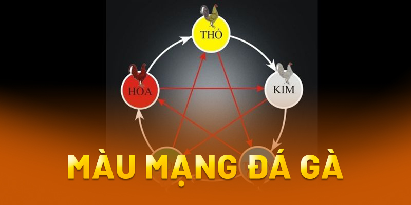 Cách Xem Màu Mạng Đá Gà Chuẩn Xác Dành Cho Tân Thủ