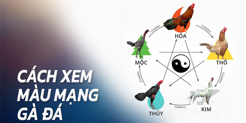 Cách Xem Màu Mạng Đá Gà Chuẩn Xác Dành Cho Tân Thủ