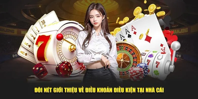 Chi Tiết Điều Khoản & Điều Kiện - Đọc Ngay Để Tránh Rủi Ro