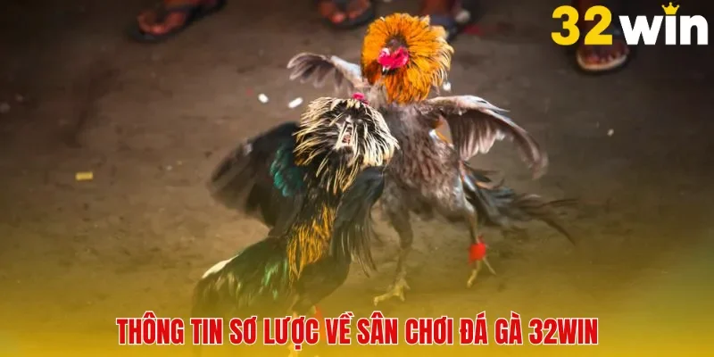 Đá Gà 32win - Sân Chơi Uy Tín Dành Cho Các Tín Đồ Yêu Thích Gà Chọi